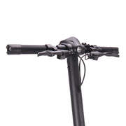 Foldable Electric Scooters