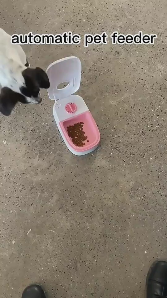 video
smart cat feeder home assistant
